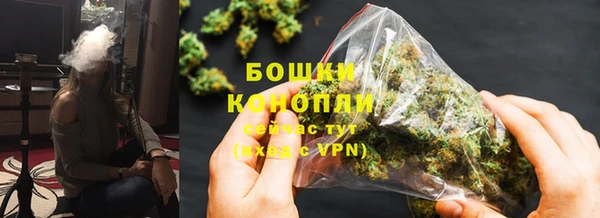 прущие грибы Абаза
