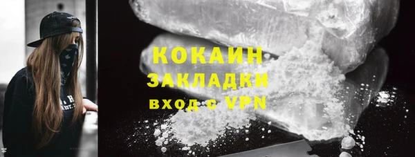 прущие грибы Абаза