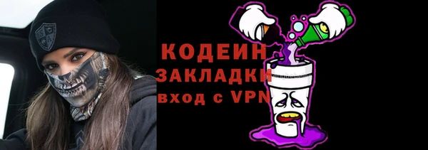 прущие грибы Абаза