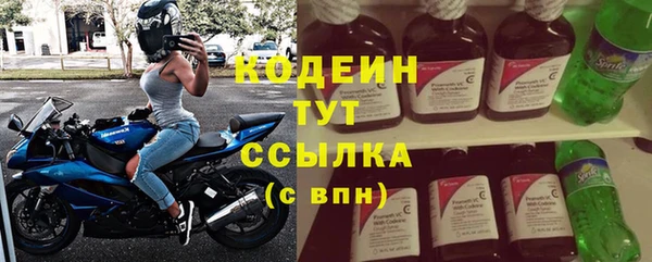 прущие грибы Абаза