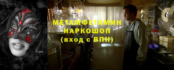 прущие грибы Абаза