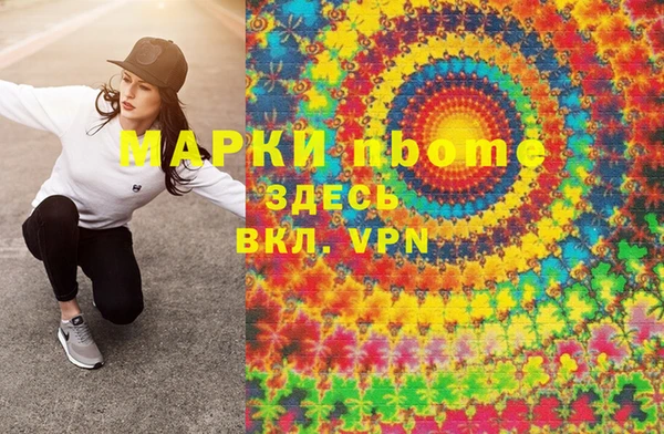 прущие грибы Абаза